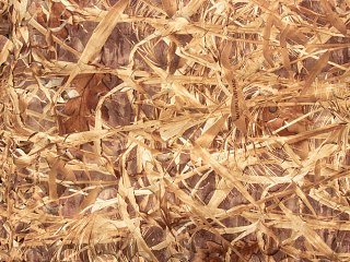 Сеть маскировочная ShotTime 1,4x3,6м нетканая бесшумная кмф камыш светлый - фото 3