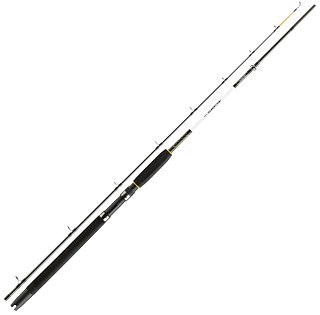 Спиннинг Daiwa Accudepth Trolling 2,70м 15-30lb - фото 1