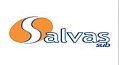 Salvas