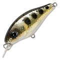 Воблер Pontoon21 Gem 34F-SR-501