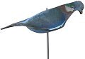 Подсадной голубь Taigan EVA скорлупка