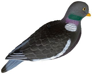 Подсадной голубь Taigan вяхирь - фото 4
