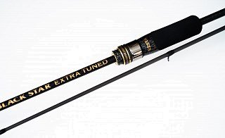 Спиннинг Xesta Black Star Extra Tuned S66M-T Super Friction 0,2-10гр lb 0.9-8 19 - фото 3