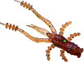 Приманка Crazy Fish Crayfish 26-45-34-6