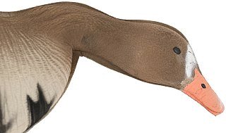 Подсадной гусь North Way белолобый Живое Перо набор 10шт - фото 3