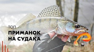 Лучшие приманки на судака - обзор самых уловистых приманок