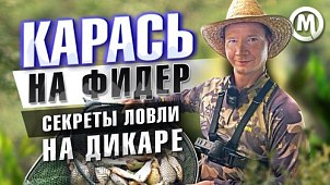 Как поймать карася на фидер? Новое видео