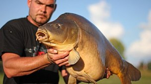 Carp Pro: новинки для карповой и фидерной ловли