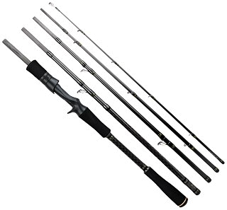 Спиннинг SPRO Specter Expedi cast 2.30м 20-60гр 5сек - фото 1