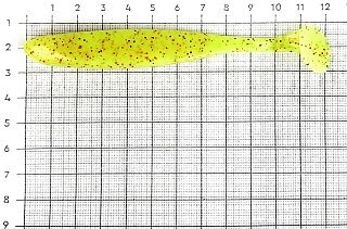 Приманка Keitech виброхвост Easy shiner 4,5" Pal 01 chartreuse red flake - фото 2