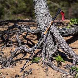 Палки Talberg RANGER POLE треккинговые коричневый - фото 3