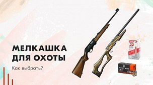 Мелкашка для охоты: как выбрать?