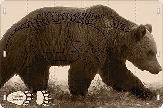 Мишень Медведь