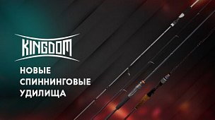 Новые спиннинги от Kingdom