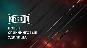 Новые спиннинги от Kingdom