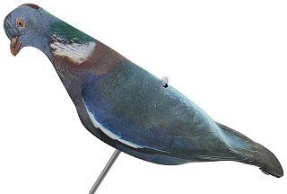 Подсадной голубь Taigan EVA скорлупка - фото 2