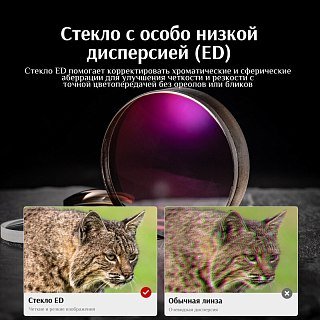 Бинокль Eyeskey Wind 8x32 - фото 8