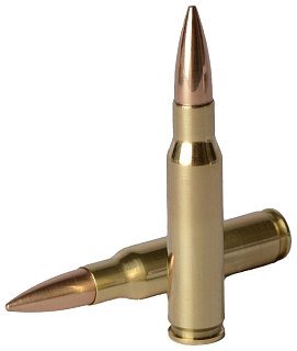 Патрон 308Win УПЗ FMJ 11,5 Rapira латунь  1/20 