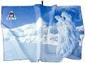 Полотенце Camp Printed dry towel snow