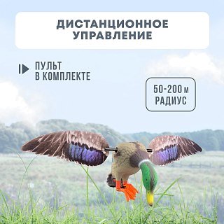 Механическое чучело Taigan Mid size Mallard Drake селезень  - фото 9