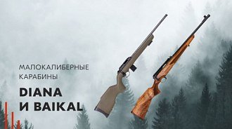 Малокалиберные карабины Diana R-22 и Baikal “Соболь” 141