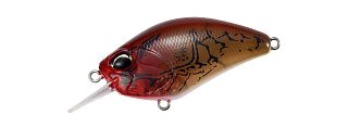 Воблер DUO Realis Crank 55 SR Kabuki CCC3307 Omnicraw II