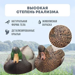 Подсадная утка и селезень Taigan Floating Mallard Drake&Hen комплект 6шт - фото 2