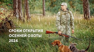 Осенняя охота: сроки открытия по регионам в 2024 году