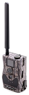 Фотоловушка Scout Guard BG584-24MP - фото 4