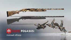 Ata Arms Pegasus: полный обзор