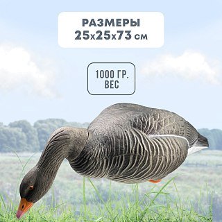 Подсадной гусь Taigan Goose кормящийся со съемной головой на стальном основании - фото 4