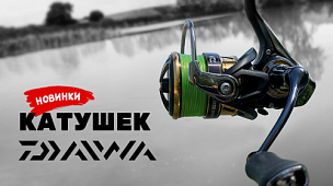 Поступление катушек Daiwa 19 Certate LT 