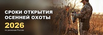 Сроки открытия осенней охоты 2026 по регионам России