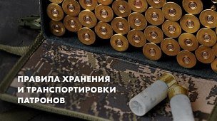 Хранение и транспортировка патронов: правила и рекомендации