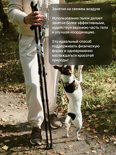Палки Roadlike Protect для скандинавской ходьбы с антишоком Flip-Lock белый - фото 13