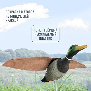 Подсадная утка Taigan Mallard летящая на пластиковом основании селезень - фото 4