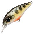 Воблер Pontoon21 Gem 34F-SR-503