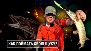 Топ-3 приманок на щуку от Алексея Шанина + видео