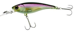 Воблер Jackall Soul shad 58 SR SP 5,8см 5,0гр ghost wakasagi - фото 1