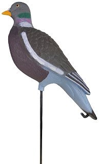 Подсадной голубь Taigan вяхирь - фото 3