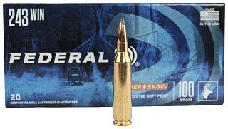 Патрон 243Win Federal Power Shok SP 6,5г - фото 1