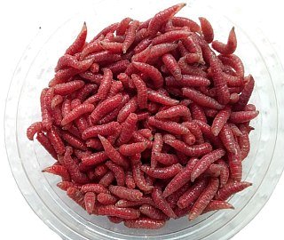 Опарыш Аквариус красный микс