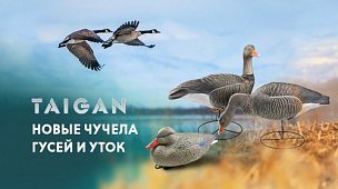 На весеннюю охоту с новыми чучелами Taigan