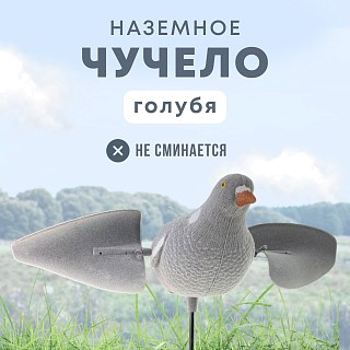 Подсадной голубь Taigan Flossy с вращающ. крыльями - фото 1