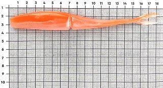 Приманка Daiwa Bait junkie 7" jerkshad takasagi - фото 2