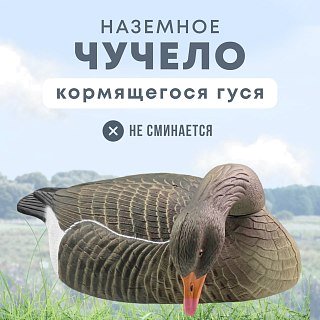 Подсадной гусь Taigan Goose shell кормящийся со съемной головой - фото 1