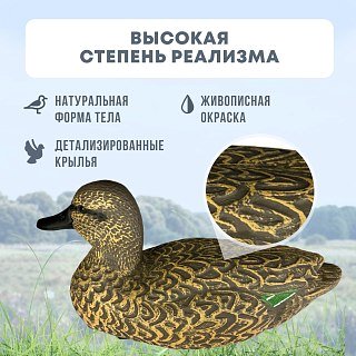 Подсадная утка Taigan HD Teal чирок  - фото 2