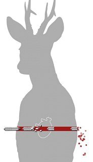 Патрон 30-06Sprg Brenneke 9,7 TIG 1/20 - фото 3