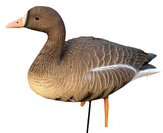 Подсадной гусь Oscar Decoys Elite 3D Speckbelly Goose Белолобый мягкий 10шт