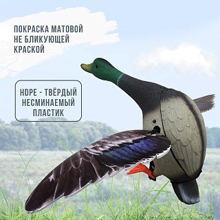 Механическое чучело Taigan Large size Mallard Drake селезень  - фото 4